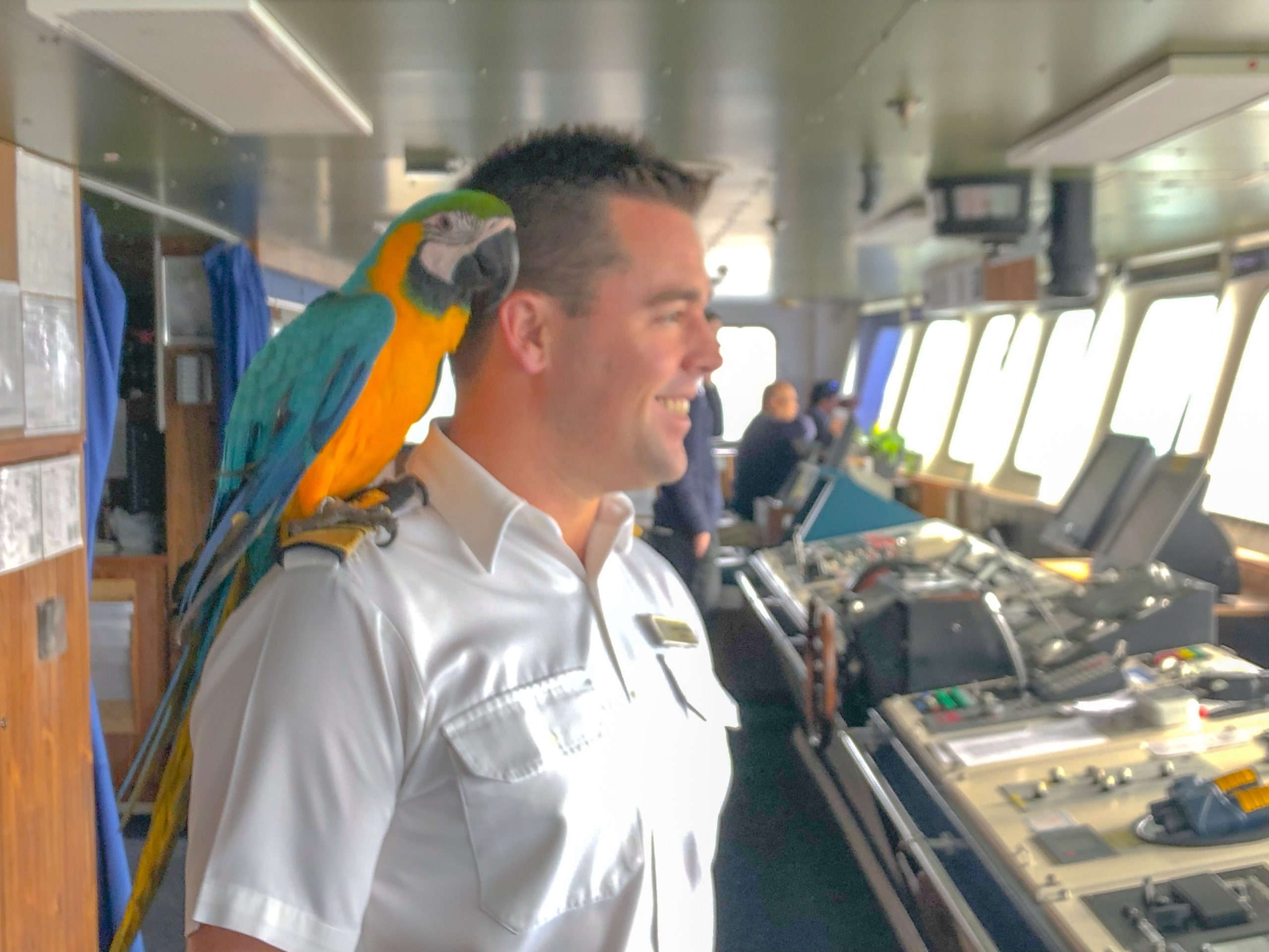 Carnival cruise emotional support hot sale animal